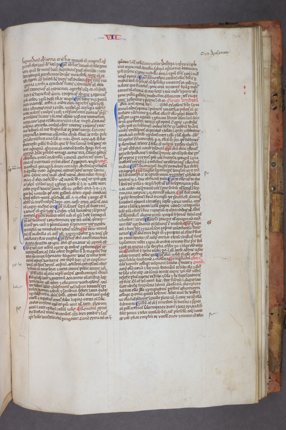 Folio 146 recto